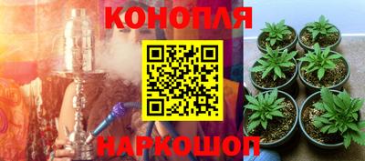 прущие грибы Азнакаево