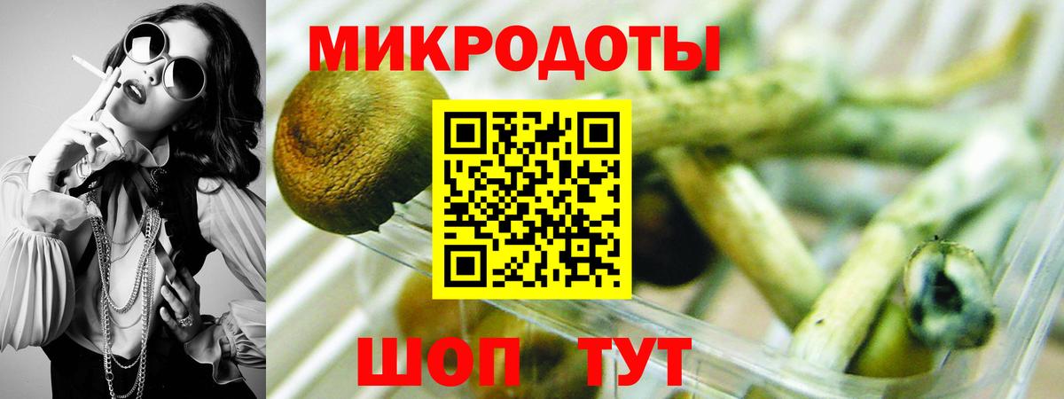 Псилоцибиновые грибы Cubensis  Вход с VPN  Альметьевск  Галлюциногенные грибы GOLDEN TEACHER 